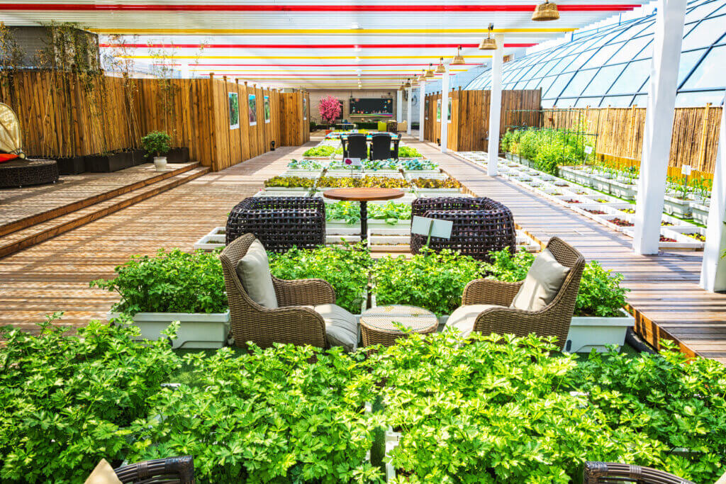 Terrace Gardening