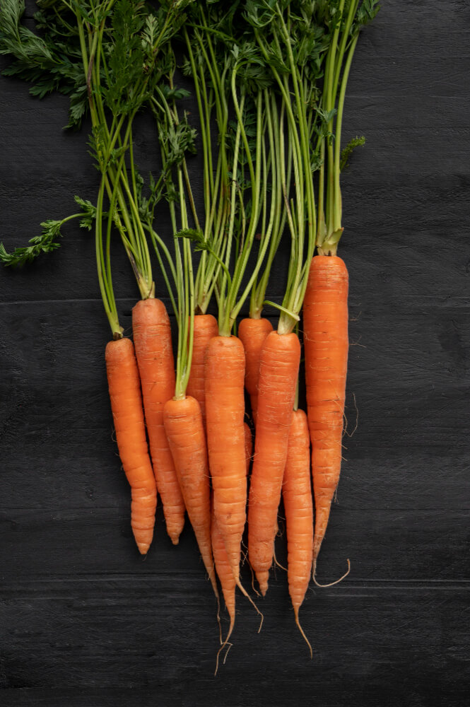 Easy To Grow Veggies